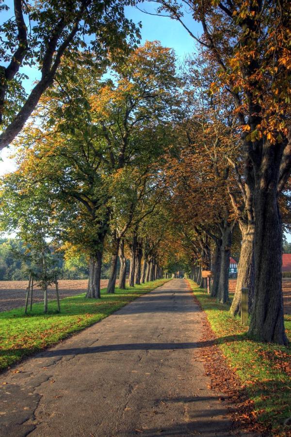 Schlosspark Hollwinkel Preußisch Oldendorf エクステリア 写真